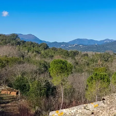 Dans La Medievale De Avec Terrasse * Sauve