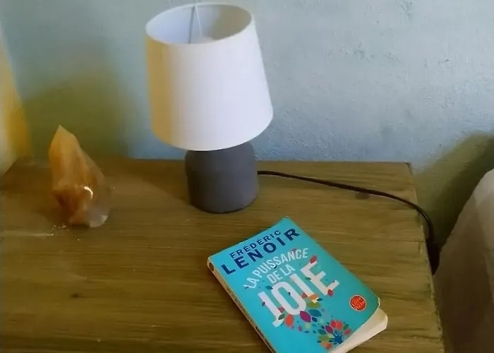 Appartement Dans La Médiévale De Avec Terrasse Sauve
